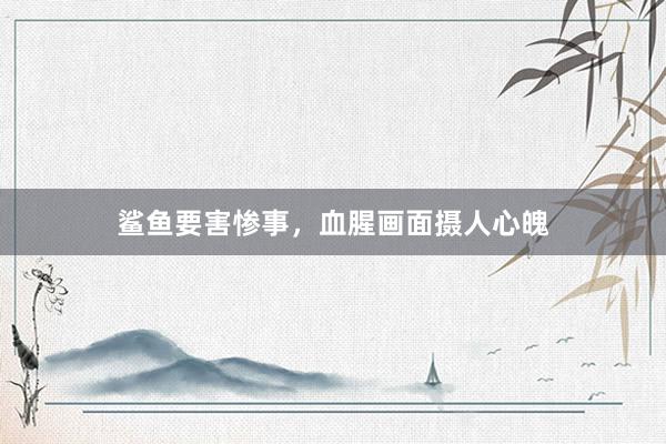 鲨鱼要害惨事，血腥画面摄人心魄